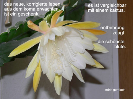 Bild mit Zitat